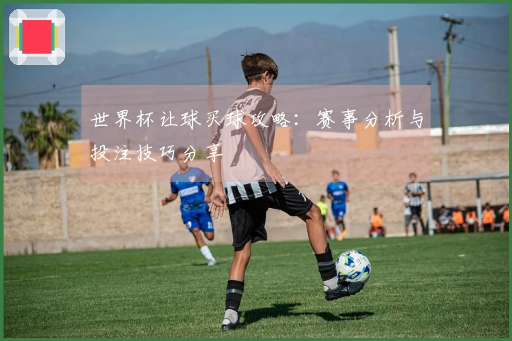 世界杯让球买球攻略：赛事分析与投注技巧分享